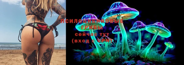 гашик Алзамай