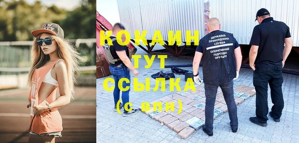 гашик Алзамай
