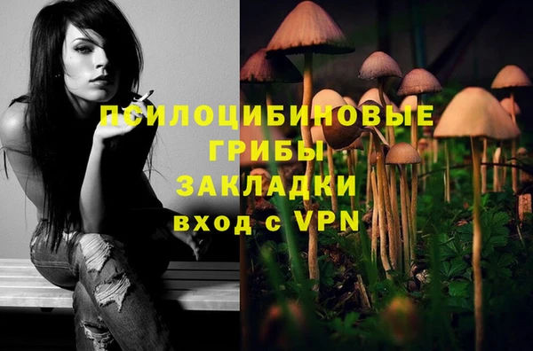 гашик Алзамай